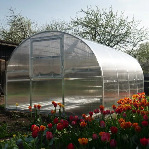 Bloomcabin högtunnelväxthus med böjda bågar och polykarbonatskivor